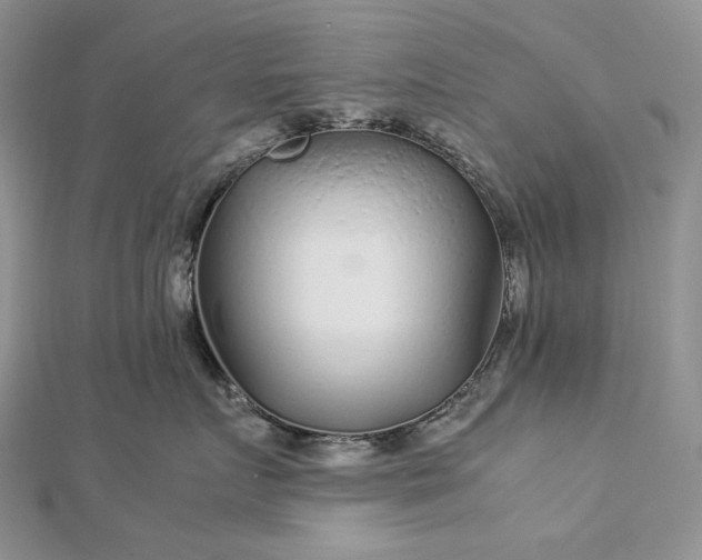 X0000112880719200909041641