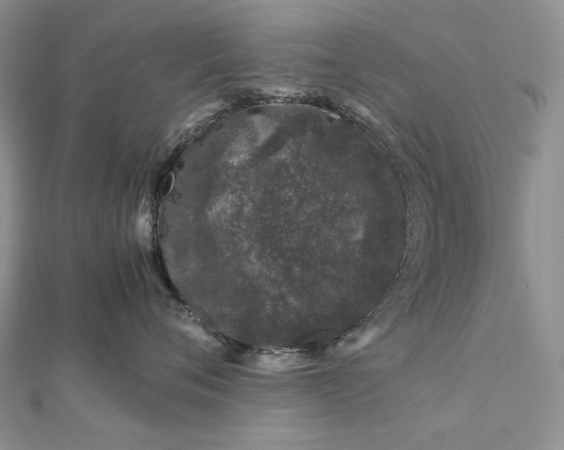 X0000112880720200909041641