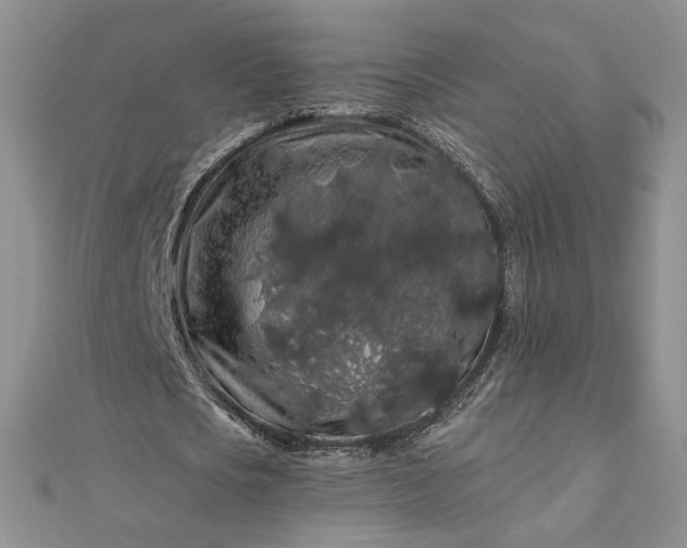 X0000112880721200909041640