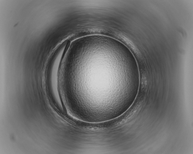 X0000112880722200909041640