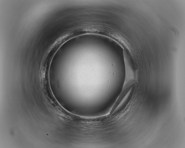 X0000112880723200909041640