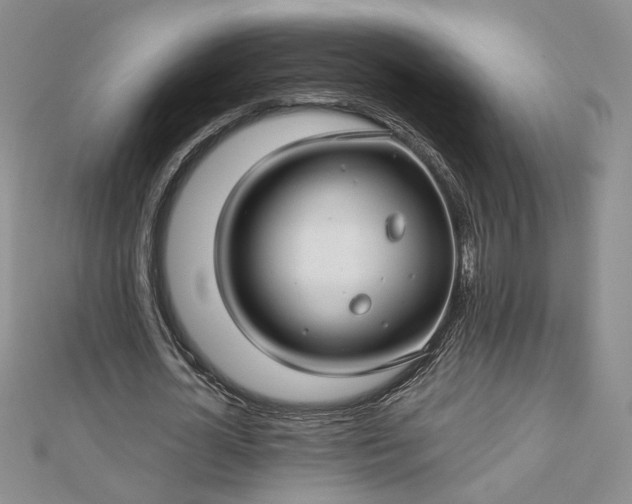 X0000112880724200909041640