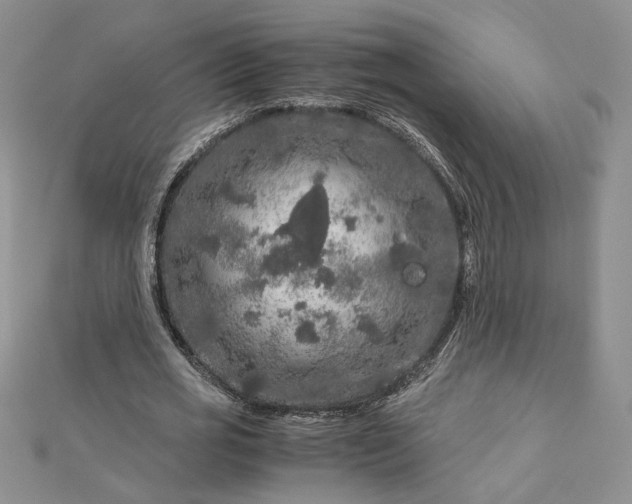 X0000112880725200909041640