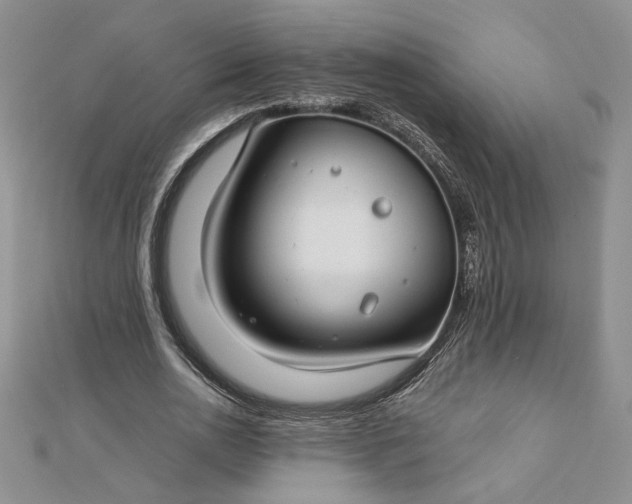 X0000112880726200909041640