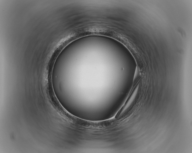 X0000112880727200909041640