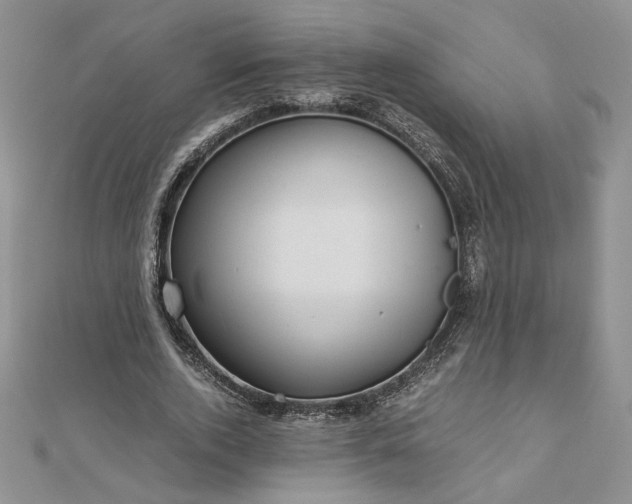 X0000112880728200909041640