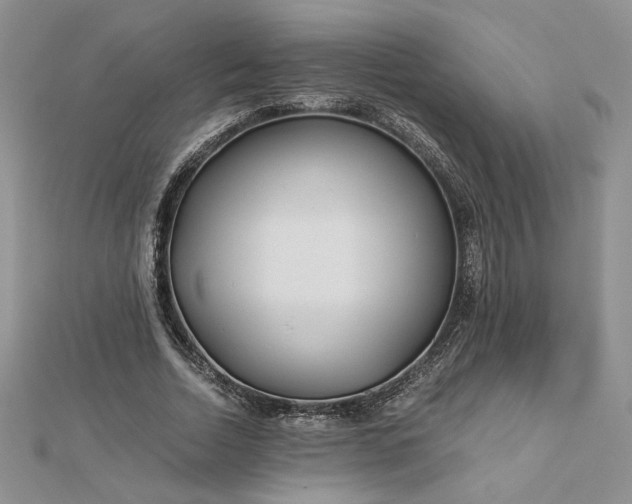 X0000112880730200909041640