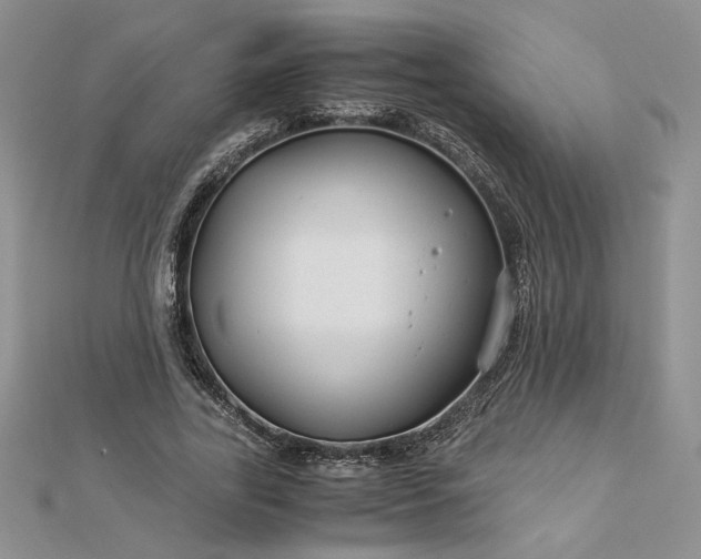 X0000112880731200909041640