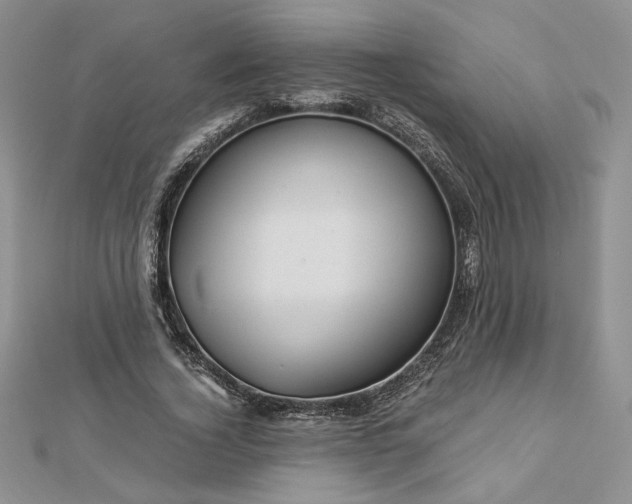 X0000112880732200909041640