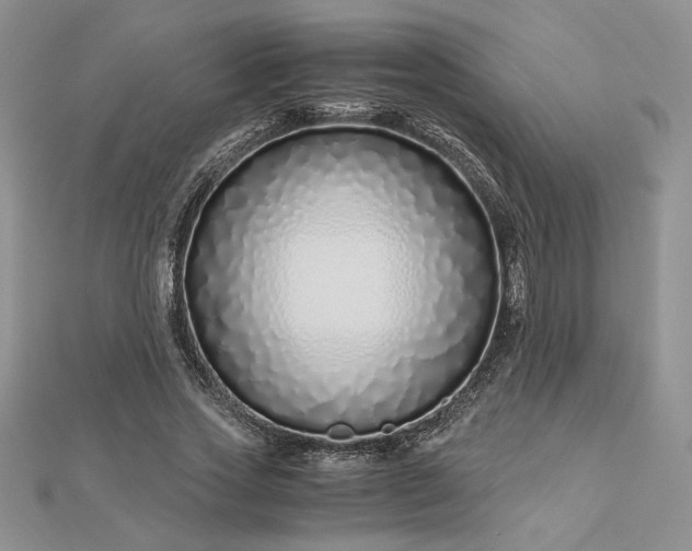 X0000112880733200909041640