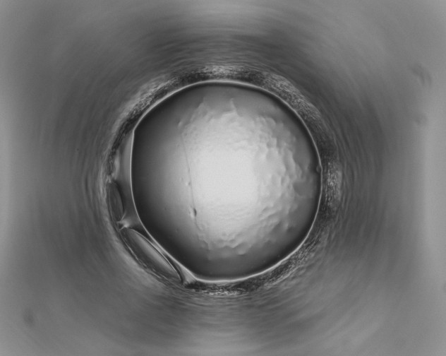 X0000112880734200909041640