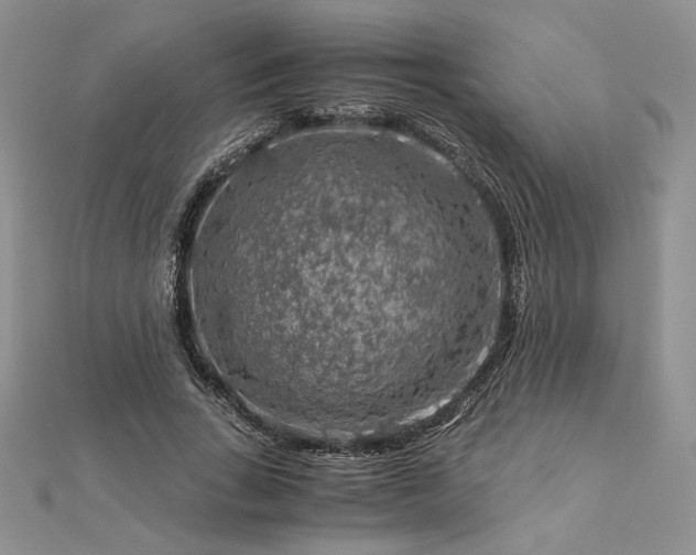 X0000112880735200909041640