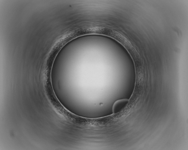 X0000112880736200909041641