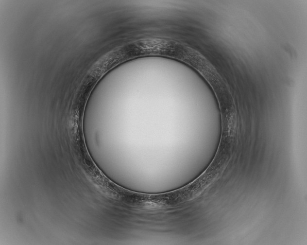 X0000112880737200909041641