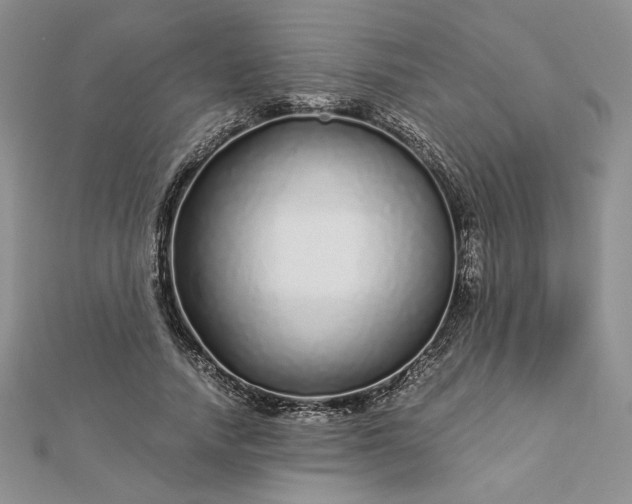 X0000112880738200909041641