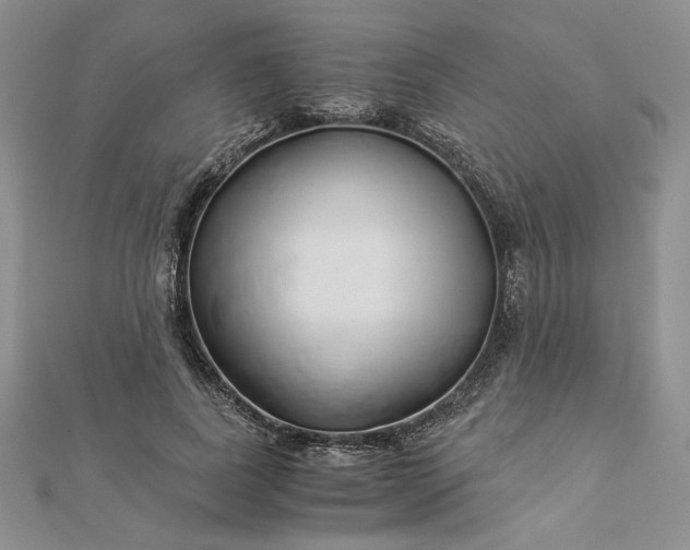 X0000112880739200909041641