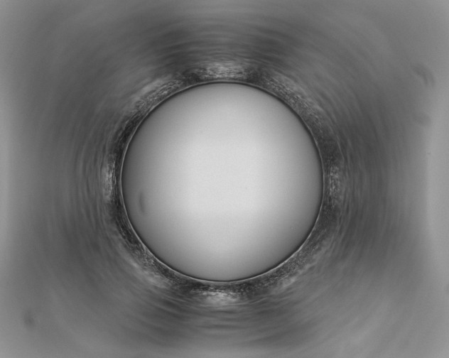 X0000112880741200909041641