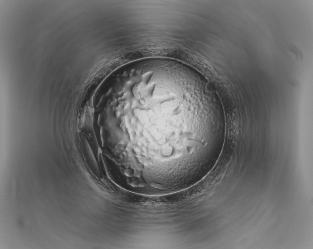 X0000112880742200909041641