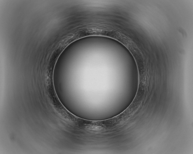 X0000112880743200909041641