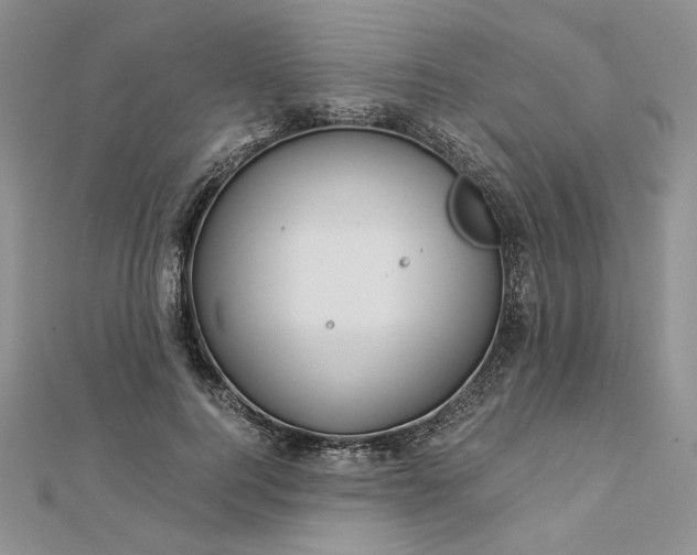 X0000112880744200909041641