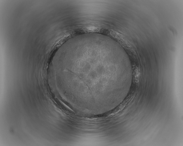 X0000112880746200909041641