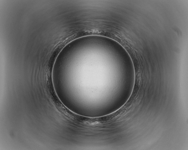 X0000112880747200909041641