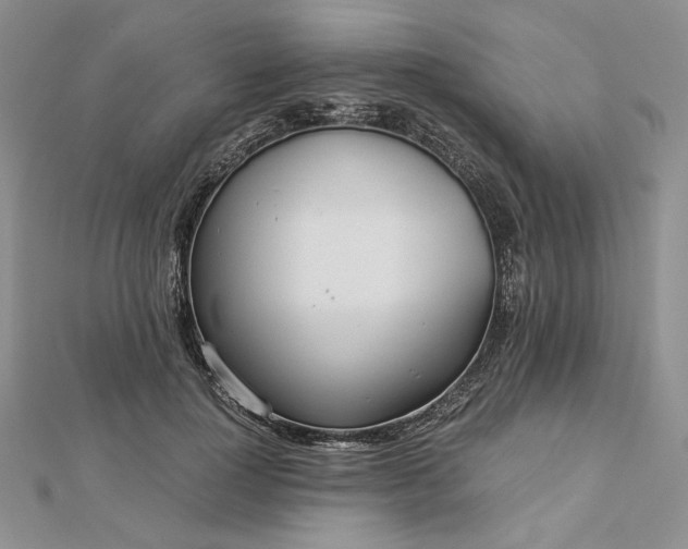 X0000112880748200909041641