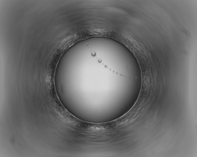 X0000112880749200909041641