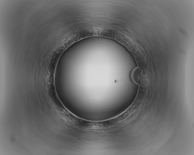 X0000112880750200909041641