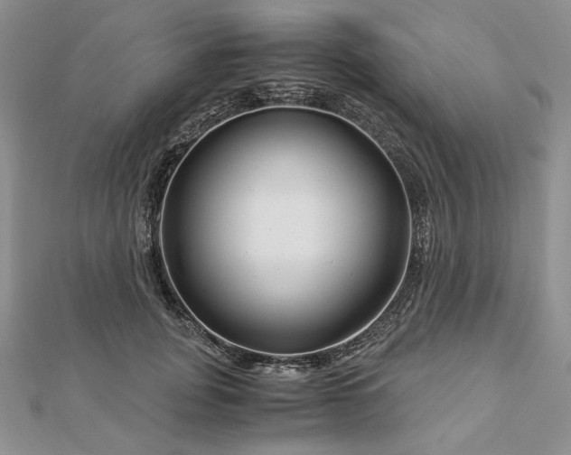 X0000112880751200909041641