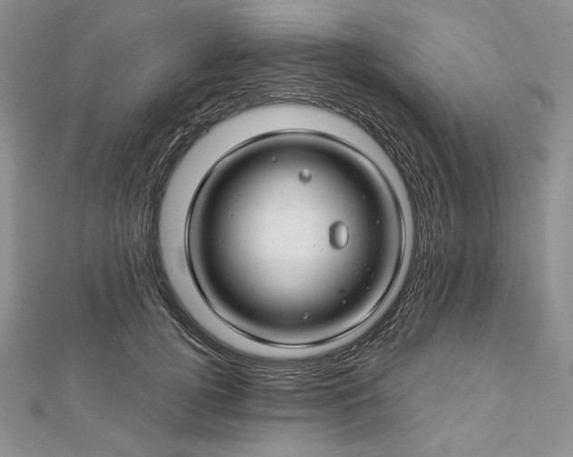 X0000112880752200909041641