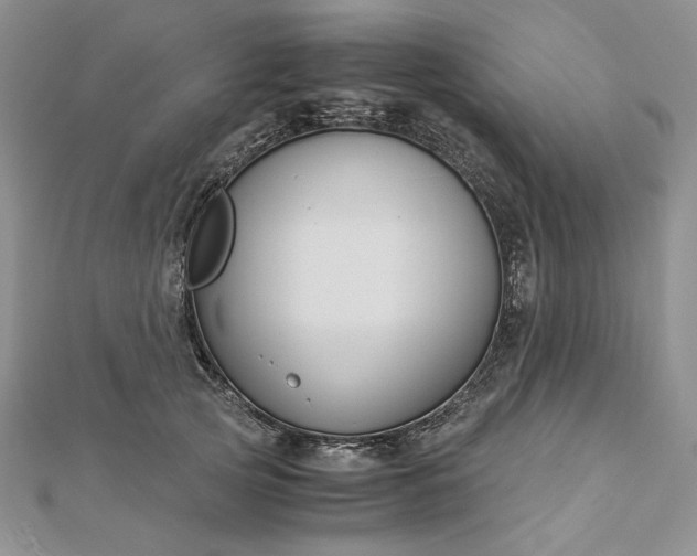 X0000112880753200909041641