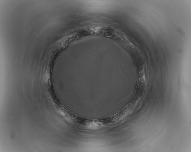 X0000112880754200909041641