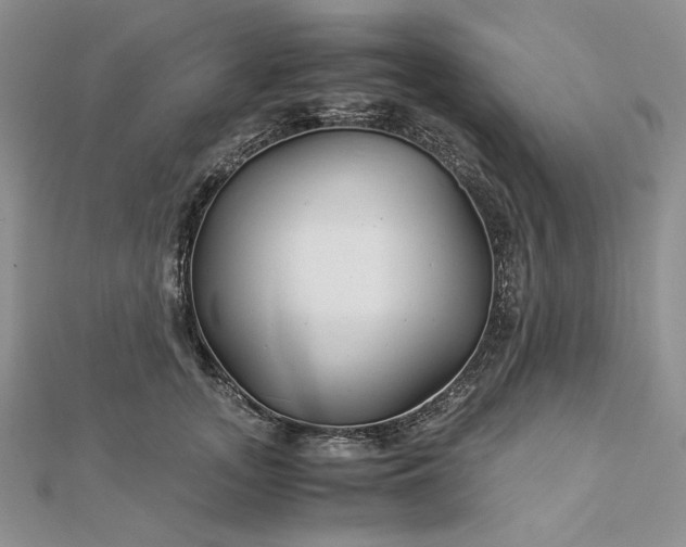 X0000112880755200909041641