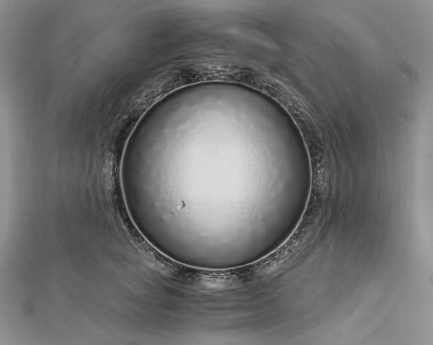 X0000112880757200909041641