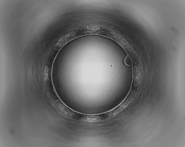 X0000112880758200909041641