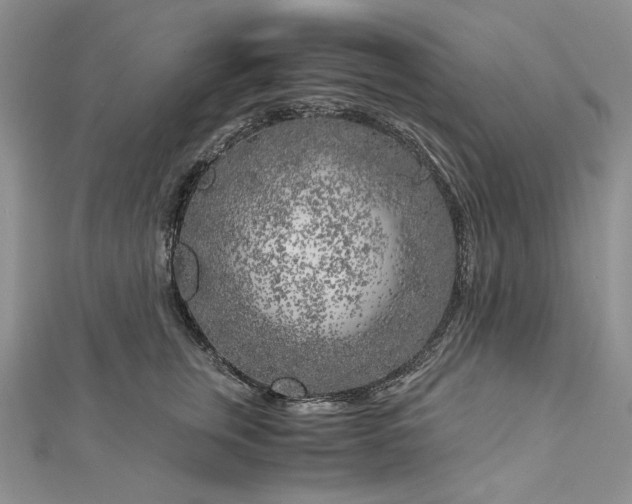 X0000112880759200909041641