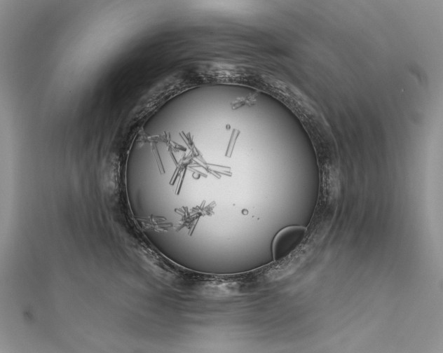 X0000112880760200909041641