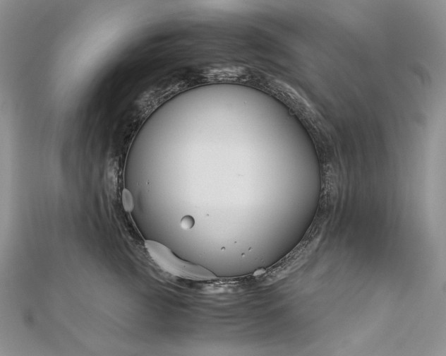 X0000112880761200909041641