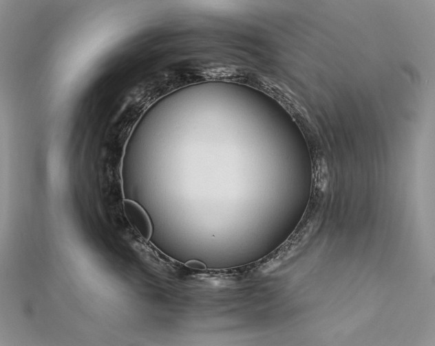 X0000112880763200909041641