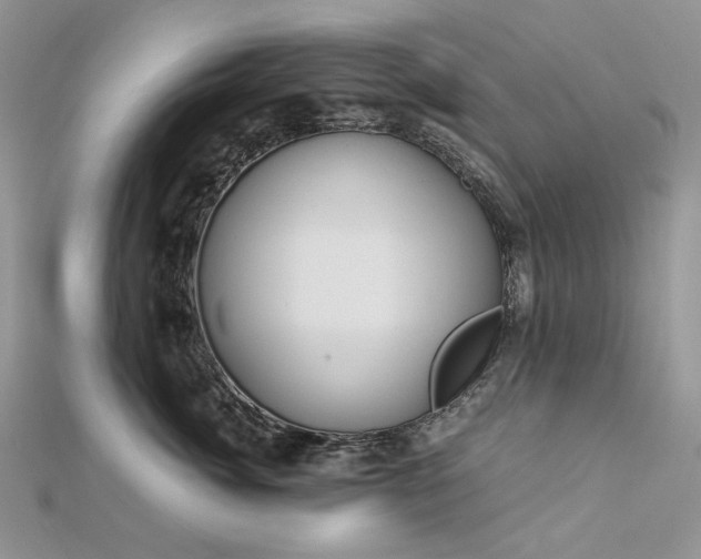 X0000112880764200909041641