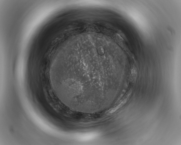 X0000112880765200909041641