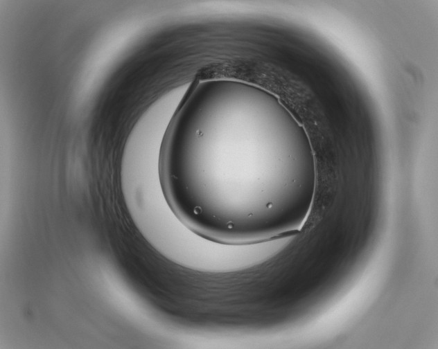 X0000112880766200909041641