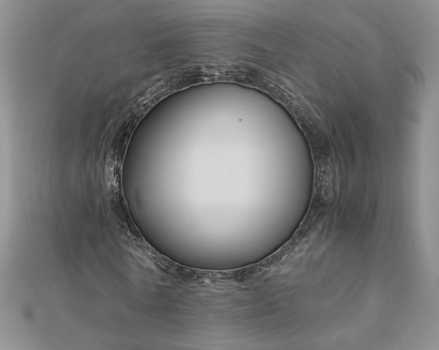 X0000112880770200909041640