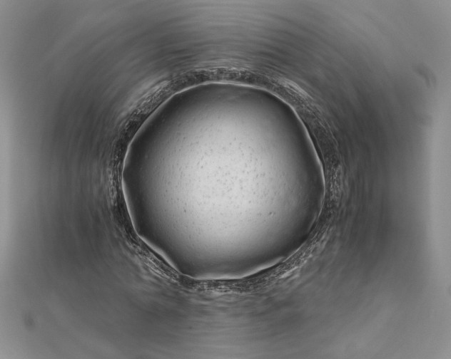 X0000112880774200909041640