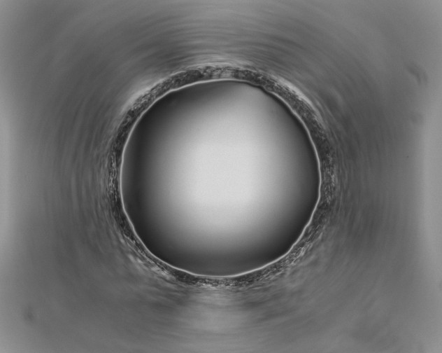 X0000112880775200909041640