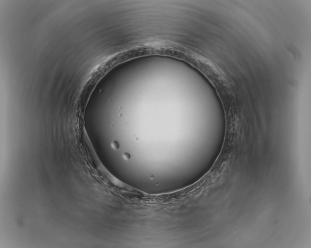 X0000112880776200909041640