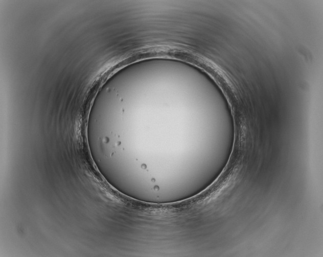 X0000112880778200909041640