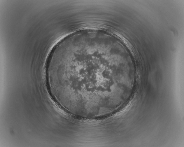 X0000112880779200909041640