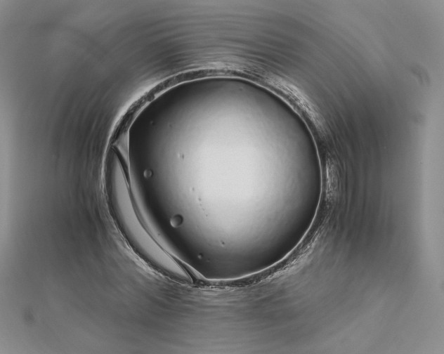 X0000112880780200909041640